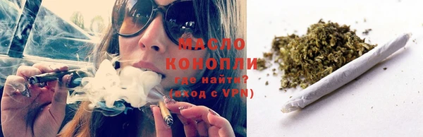 мет Алексин
