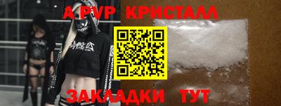 шишки Заволжье
