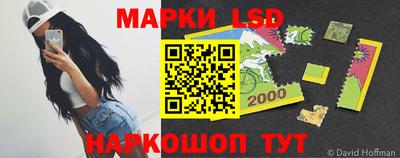 шишки Заволжье