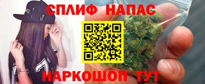 шишки Заволжье