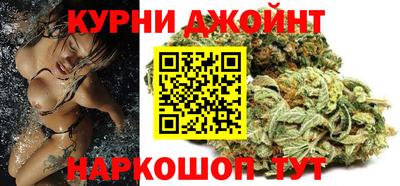 шишки Заволжье