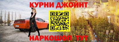 шишки Заволжье