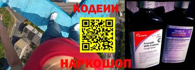 шишки Заволжье