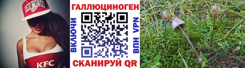 где купить наркоту  Нижний Тагил  KRAKEN зеркало  Галлюциногенные грибы Psilocybine cubensis 