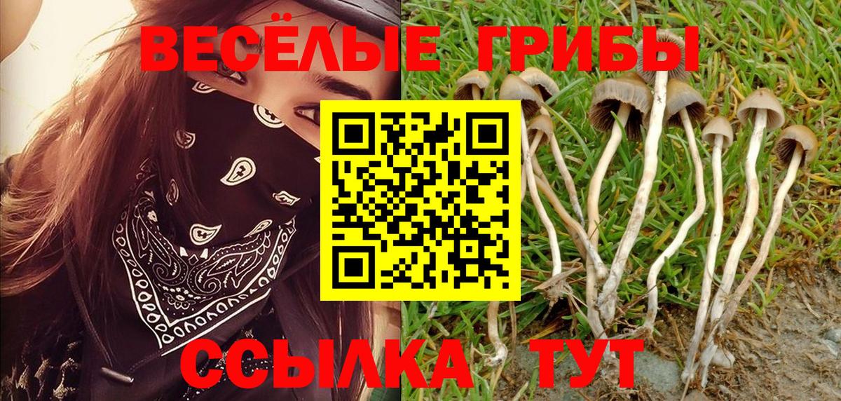 Галлюциногенные грибы Psilocybe  Вход с VPN  Нижний Тагил 